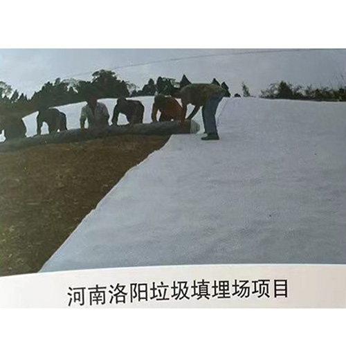 河南洛陽(yáng)垃圾填埋場(chǎng)項目