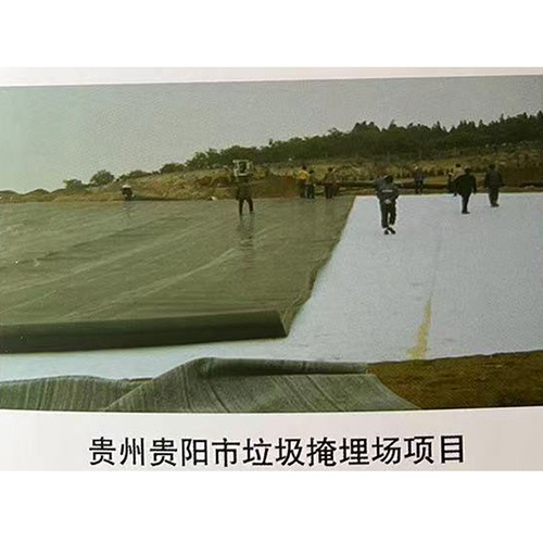 貴州貴陽(yáng)市垃圾掩埋場(chǎng)項目